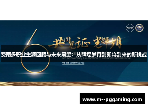 费南多职业生涯回顾与未来展望：从辉煌岁月到即将到来的新挑战