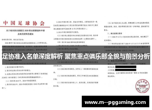 足协准入名单深度解析 聚焦重点俱乐部全貌与前景分析 足协准入名单深度解析 聚焦重点俱乐部全貌与前景分析