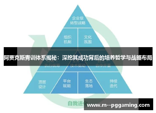 阿贾克斯青训体系揭秘：深挖其成功背后的培养哲学与战略布局