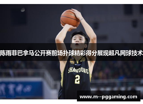 陈雨菲巴拿马公开赛前场扑球精彩得分展现超凡网球技术 陈雨菲巴拿马公开赛前场扑球精彩得分展现超凡网球技术