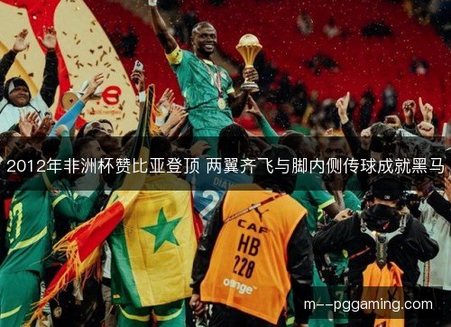2012年非洲杯赞比亚登顶 两翼齐飞与脚内侧传球成就黑马
